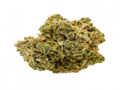 Buy Durban Poison Marijuana Strain